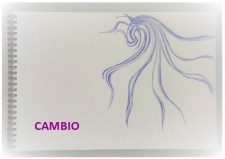 cambio_drawing_pledge
